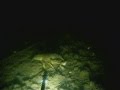 Подводная охота:Ночь... 