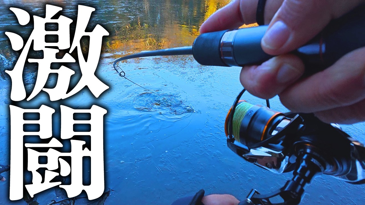 【衝撃】赤身サーモンを狙っていると突如池のヌシが喰らい付き......