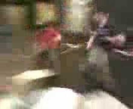 Grimshaws Human SlingShot