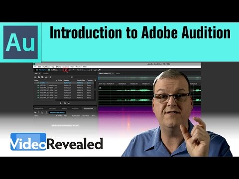 Clean up your voice over with audio ducking in Adobe Audition