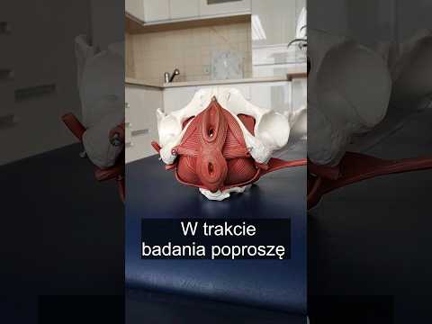 BADANIE WEWNĘTRZNE U FIZJOTERAPEUTY