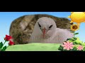 Animal Time S2 Ep 02