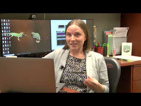 Professor Meghan Quinn