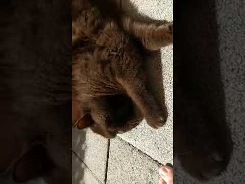 3 Mädels unter einem Dach :-)