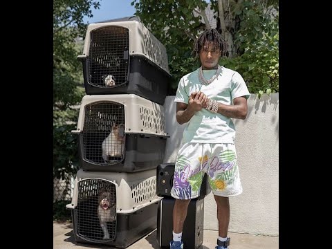 (FREE) NBA Youngboy Type Beat "Ok, Alright"