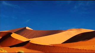 Fischer-Z, Human beings