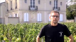 preview picture of video 'La Maturité du raisin'