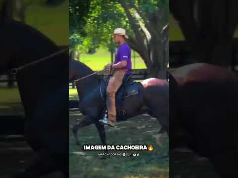 IMAGEM DA CACHOEIRA🔰(Laglória Bilaro x Luz Córrego do Ouro)🔱 SIGA NOSSA PÁGINA: @marchador.mg