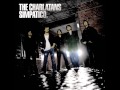 THE CHARLATANS - The architect - MySkinCareTime THE CHARLATANS - The architect