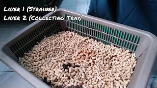 Best method to use pine wood cat litter (DIY double layered litter tray)