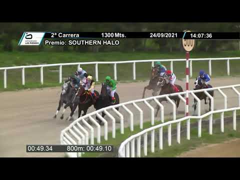 210924 c02 - KALIMOTXO - HIPODROMO LAS PIEDRAS