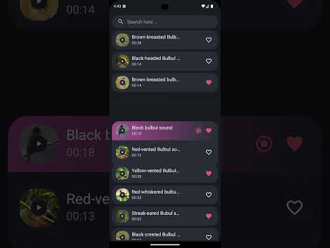 Bulbul bird sounds Video