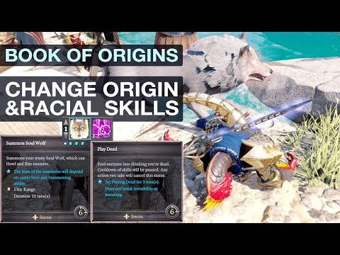 Book Of Origins - Divinity 2 Mod
