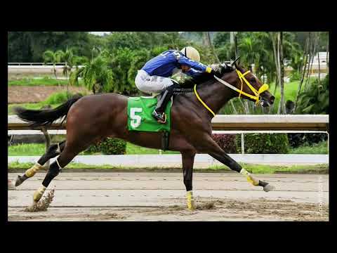 Hipodromo Camarero 7 Septiembre 2026