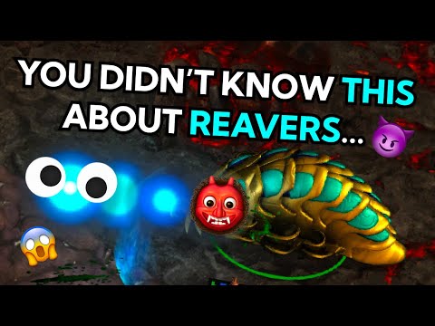 The Bizarre unit ranges of StarCraft 1