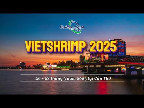 Phác đồ ngăn ngừa hội chứng gan tụy cấp tính (EMS) ở tôm