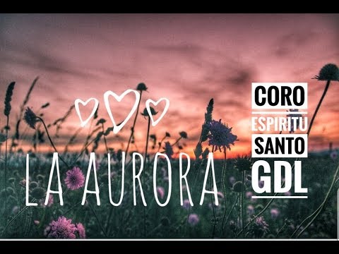 download lagu mp3 mp4 Canto De Ofertorio La Aurora, download lagu Canto De Ofertorio La Aurora gratis, unduh video klip Canto De Ofertorio La Aurora