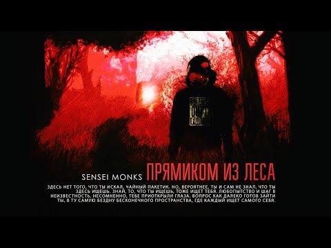 Прямиком из леса