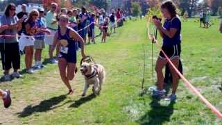 I AM UNSTOPPABLE: The Finish Line