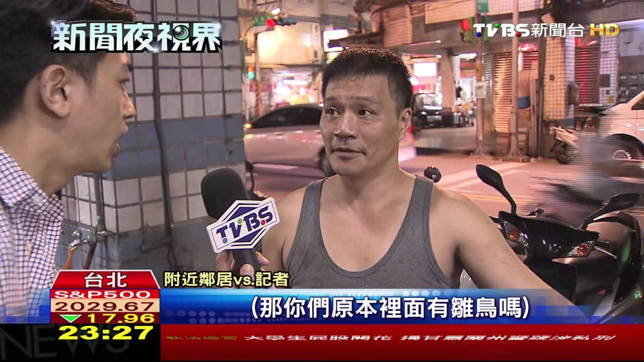 長竿狂戳燕子窩 20燕巢毀居民心痛