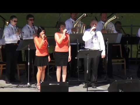 Dechová hudba Záhořané festival DH ve Zdounkách 2013