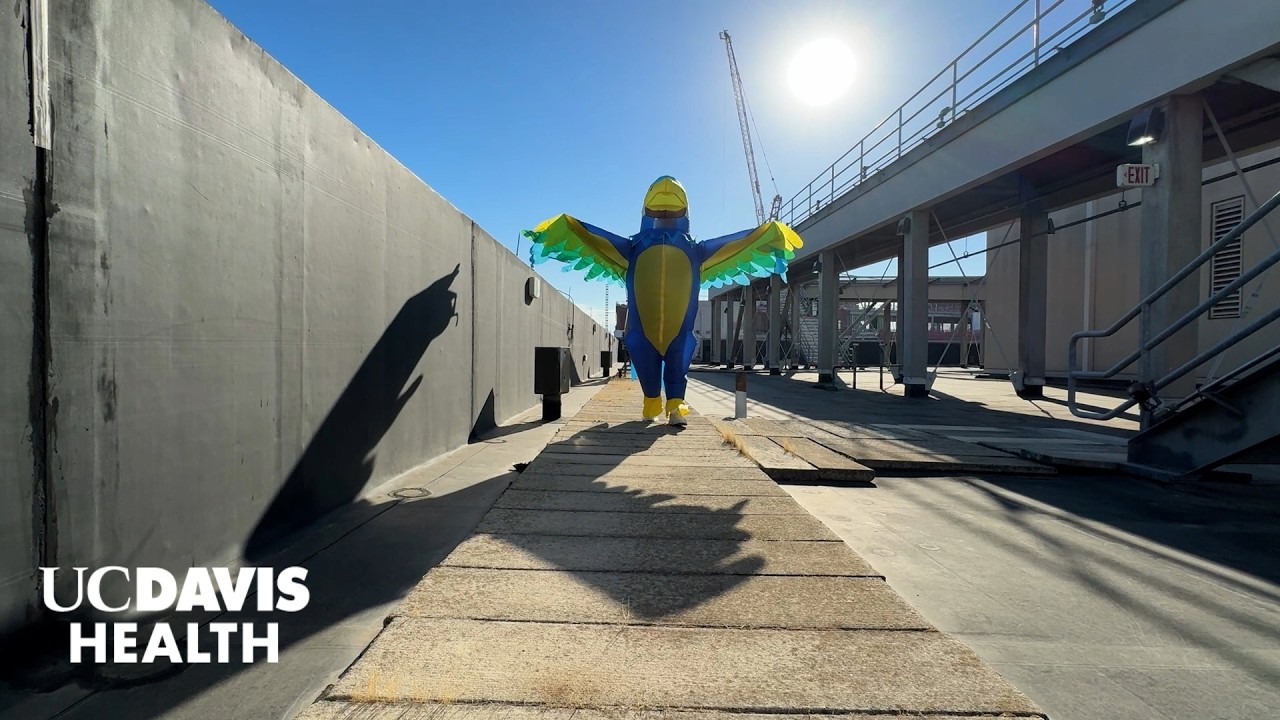 Thumbnail preview of  The Nest is Coming Soon