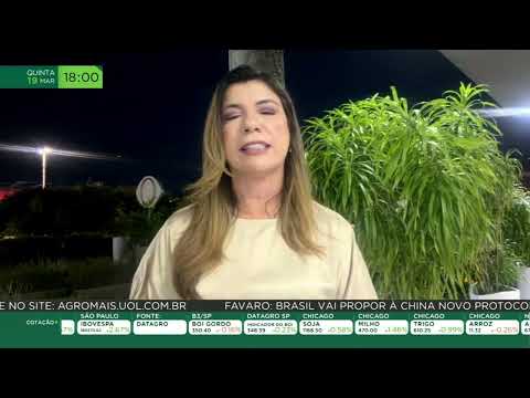 Tradição no Rio Grande do Norte: chuvas no dia de São José marca ano bom