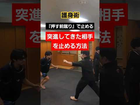 オーブ？？【ストッピング】前蹴りで止める。動画の途中に大きなオーブが？？#護身術 #剣護身術 #女性護身術 #護身術教室 #selfdefense #護身 #shorts