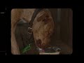 Dylan Gossett Tree Birds Lyric Video