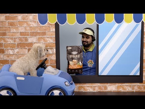 Castor & Pollux Organix Dog Food and Treats | Chewy