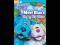 Opening To Blue S Room Meet Blue S Baby Brother 2006 DVD