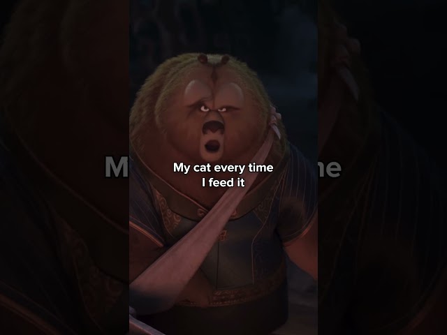 We must do as the cat commands