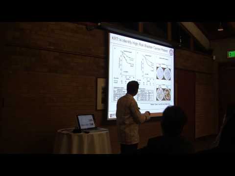 Stanford Talk 5/22/13: Catching Stem and Progenitor Cells with Boolean Logic