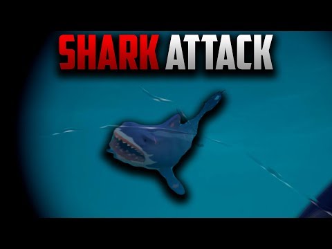 SHARK ATTACK!! | SEA OF THIEVES w/ BOOF SQUAD