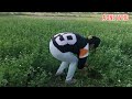 Home Work Kiran Family Vlogs Village Life Vlog New 2023 By A One TV Hd By U Punjabi Tv