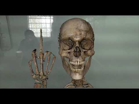 Bobby Boi | Tryna Live ***Official Music Video*** (SHOt By. ITDFILMS)