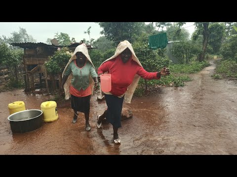 Beautiful rainy🌧️day in our African 🌍 village, & cooking authentic food (githeri) and vegetables 🥬