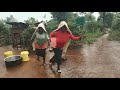 Beautiful Rainy ️day In Our African Village Cooking Authentic Food Githeri And Vegetables