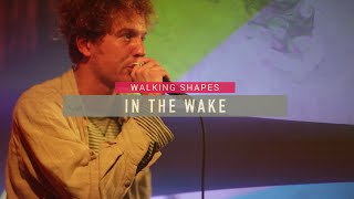 Walking Shapes - In The Wake video