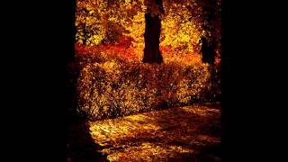 Gravenhurst - I Turn My Face To The Forest Floor (Troll Scientists Bootleg)