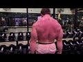 BACK WORKOUT