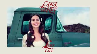Lana Del Rey - White Mustang (Instrumental)