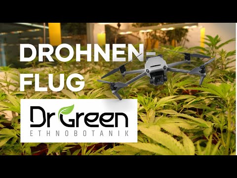 Drohnenflug durch den DrGreen Shop in Suben