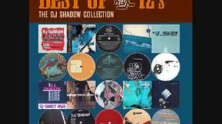 DJ Shadow - Stem (LP Version)