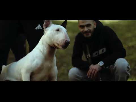 Sir F - I Dont Give a Fuck (Prod SirFnosBeats)