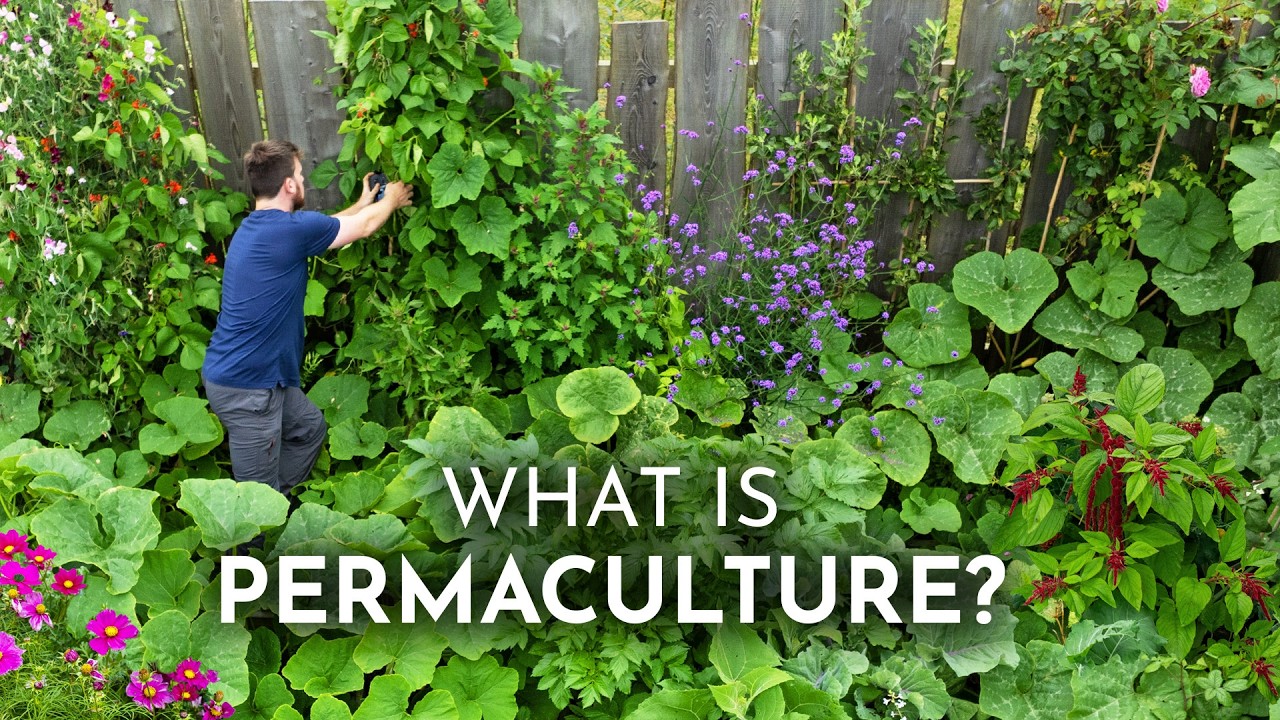 PERMACULTURE Explained in 6 Minutes