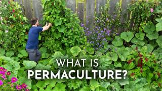 PERMACULTURE Explained in 6 Minutes MQDEFAULT Thumbnail