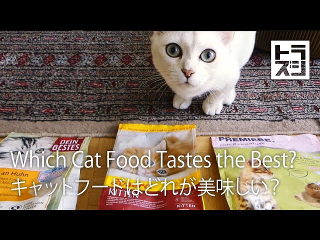 Video Pronunciation of josera in English