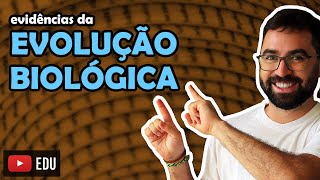 Evidências da Evolução Biológica - Aula 04 - Módulo 3: Evolução e Classificação dos Seres | Prof Gui