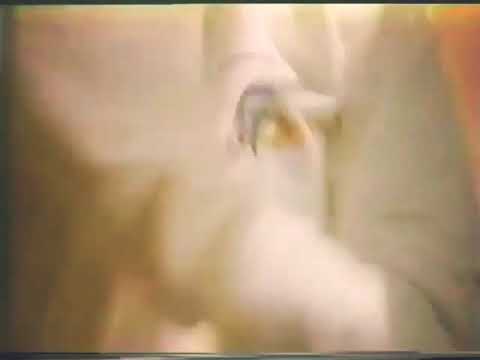 ＳｏＨｏ　Ｎｉｇｈｔ　Ｃｌｕｂ  (Video Teaser)